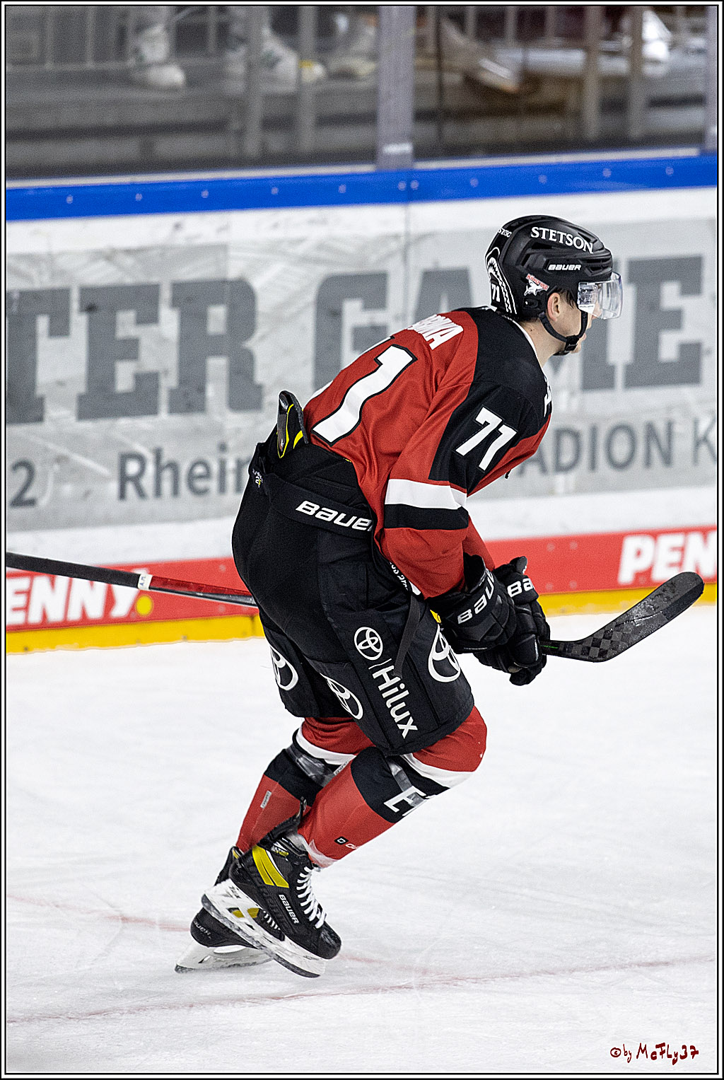 PENNY DEL;  Koelner Haie - Straubing Tigers; Koeln, 15.10.2021